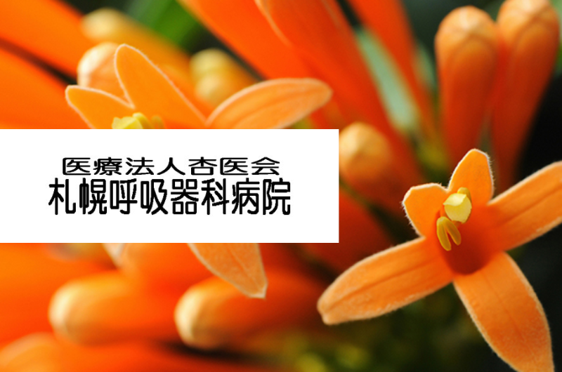 医療法人杏医会 札幌呼吸器科病院
