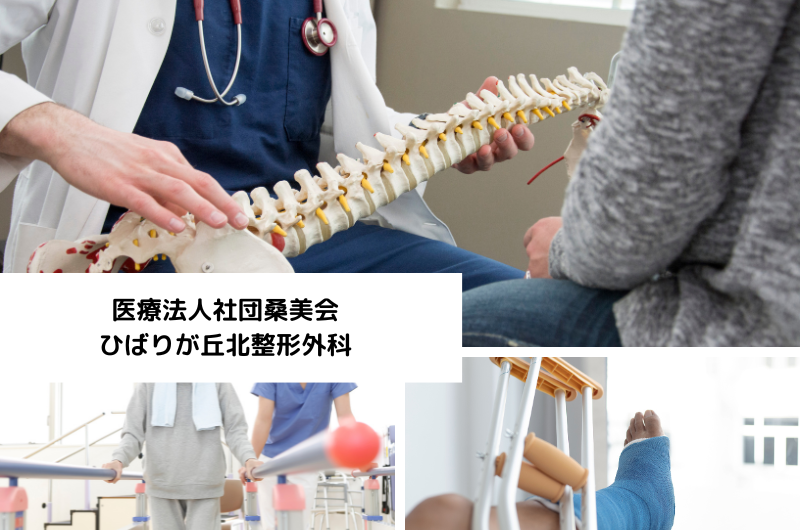 医療法人社団桑美会　ひばりが丘北整形外科